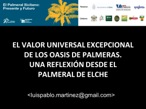 1 Palmeral UMH 2014 Luis pablo